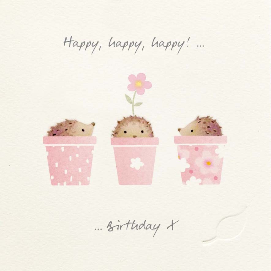 Ginger Betty Ginger Betty Birthday Card - Hedgehogs in Flower Pots