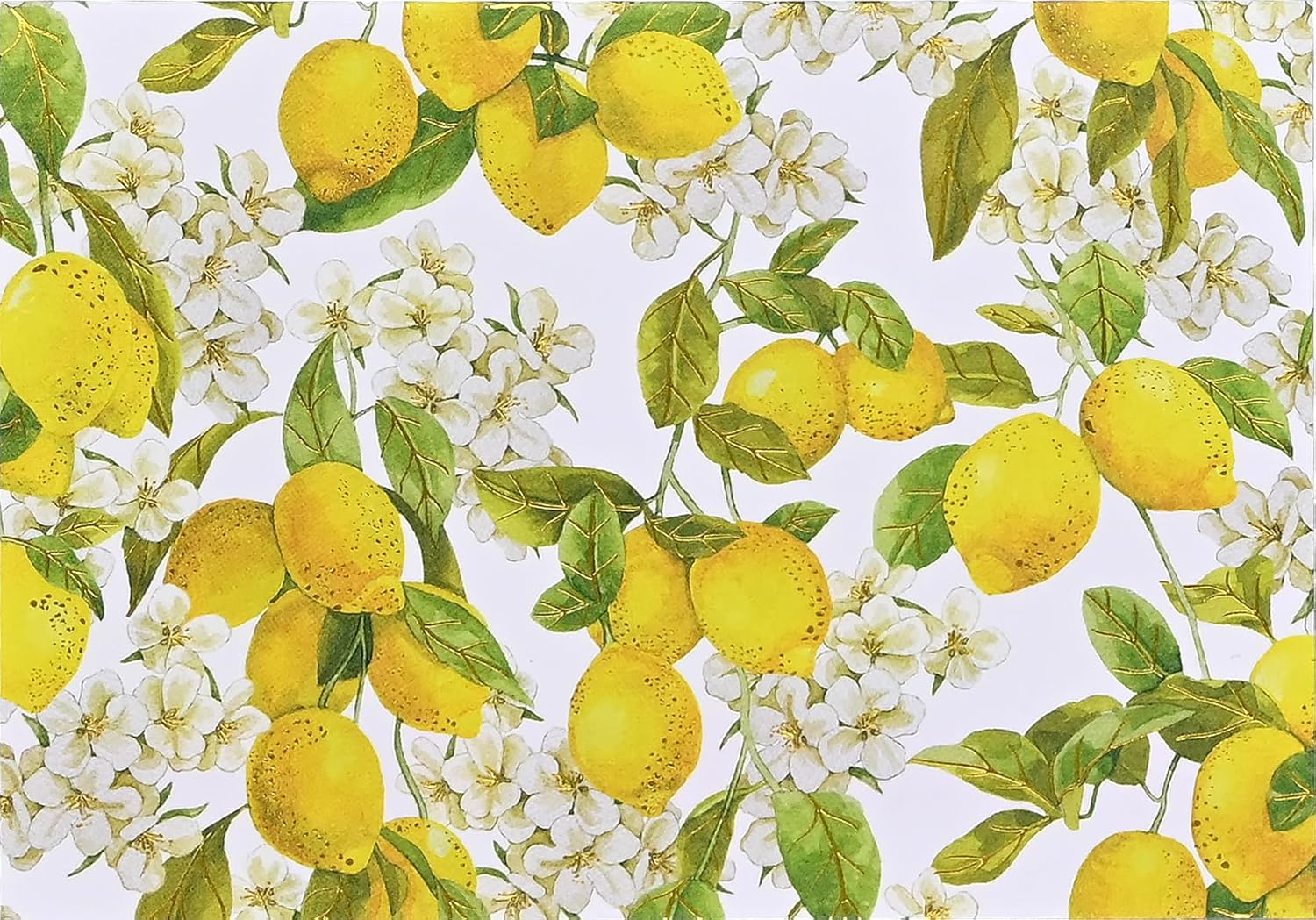 Peter Pauper Press Peter Pauper Press Note Card Set - Amalfi Lemons