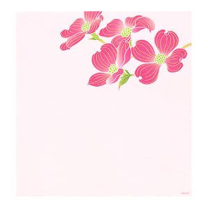 Midori Kami Letter Set - Paper Series - Spring, Magnolia Flowers