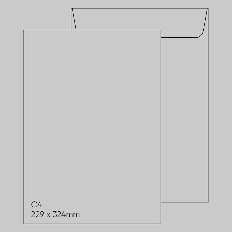 C4 Envelope (229 x 324mm) - Popticks Platinum Grey, Single