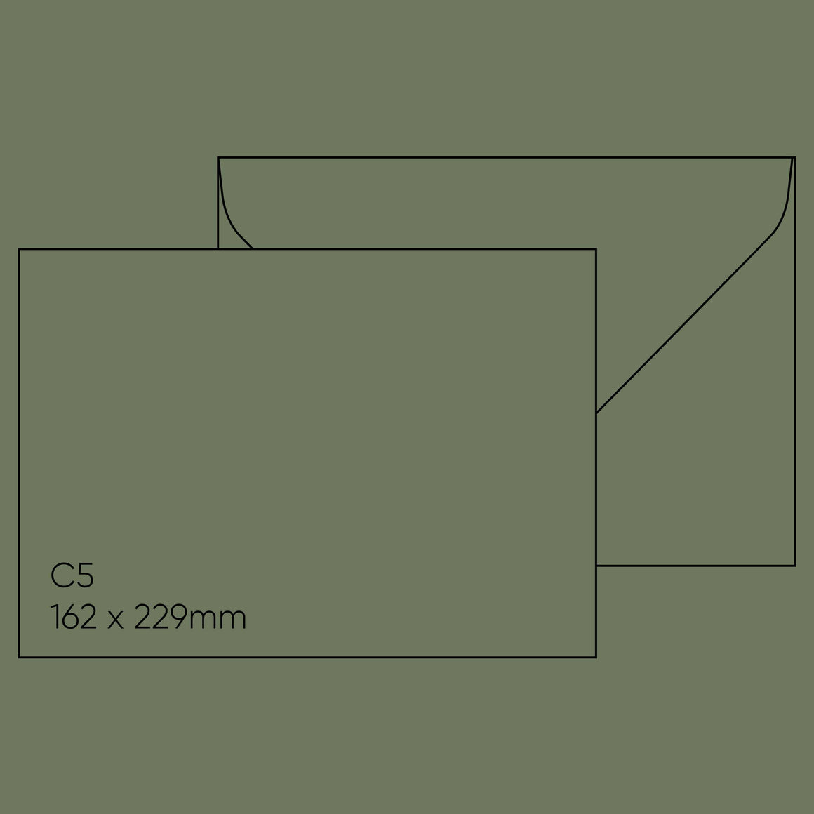 C5 Envelope (162 x 229mm) - Gmund Colors Matt 'Seedling', Single