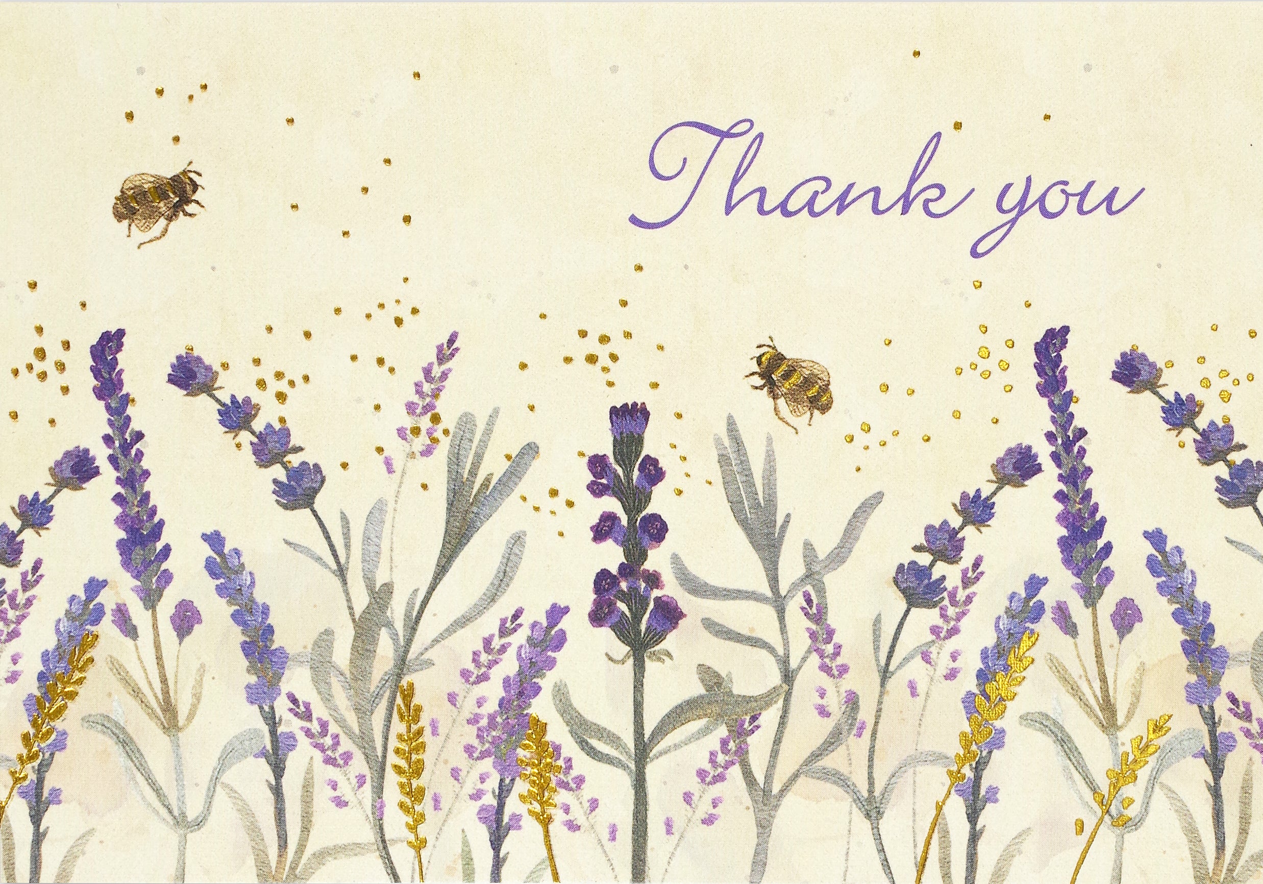 Peter Pauper Press Thank You Card Set - Lavender & Honey