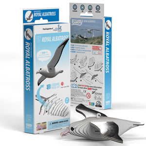 Eugy 3D Paper Model - Royal Albatross