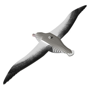 Eugy 3D Paper Model - Royal Albatross