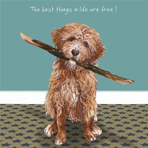 Little Dog Laughed Greeting Card - Dog Series Squares, Best Things