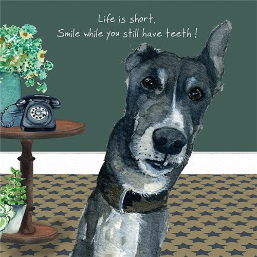 Little Dog Laughed Greeting Card - Dog Series Squares, Smile