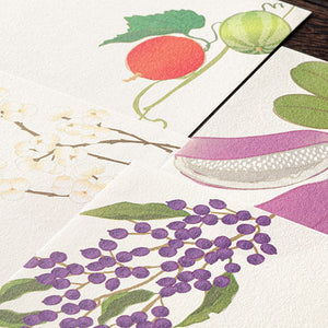 Midori Kami Letter Set - Paper Series - Autumn, Fruits & Berries