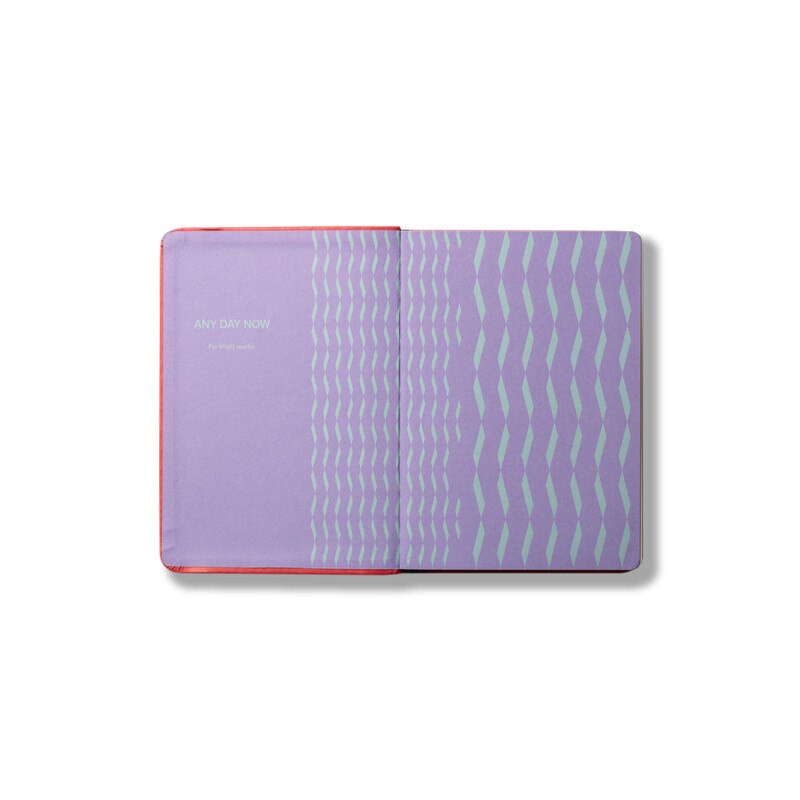 Any Day Now Any Day Now Notebook - A6, Ruled, Watermelon