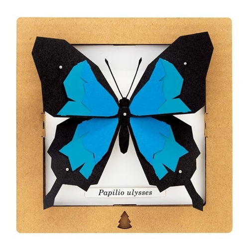 Bog Craft Bog Craft SQAR Paper Craft - Blue Butterfly #1, Papilio Ulysses