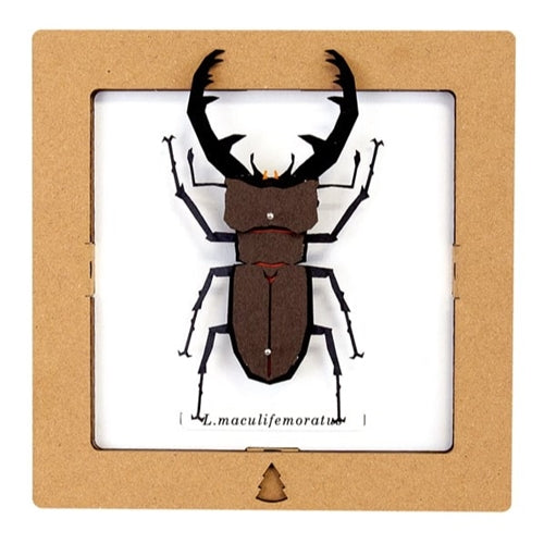 Bog Craft Bog Craft SQAR Paper Craft - Brown Lucanus Beetle #8, L.maculifemoratus