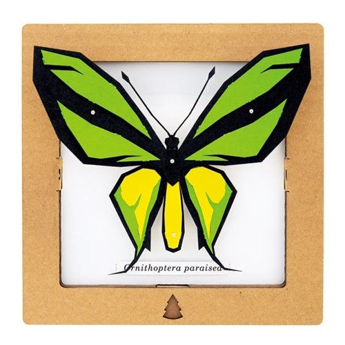 Bog Craft Bog Craft SQAR Paper Craft - Green Butterfly #2, Ornithoptera Paradisea