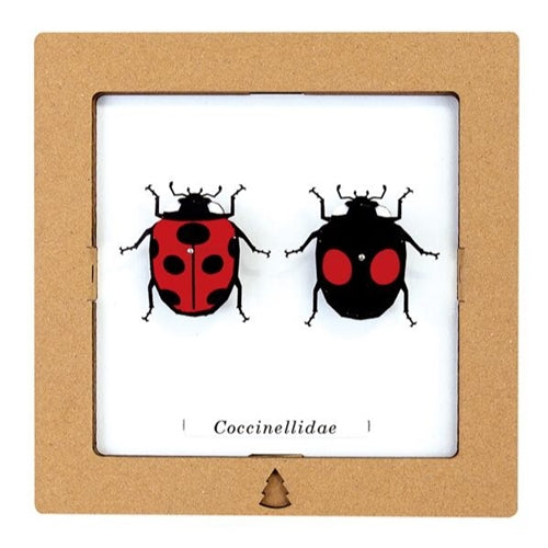 Bog Craft Bog Craft SQAR Paper Craft - Lady Bug Pair #9, Coccinellidae