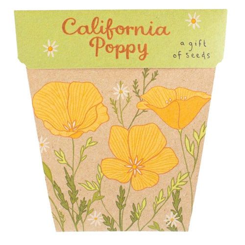 Gift of Seeds Card - California Poppy