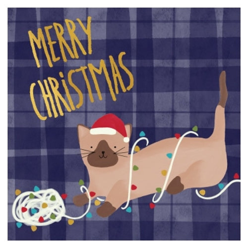 Candlebark Creations Charity Boxed Christmas Cards - Christmas Kitty, Pack of 10