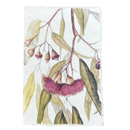 Carriage & Co Carriage & Co Notebook - Gumnuts