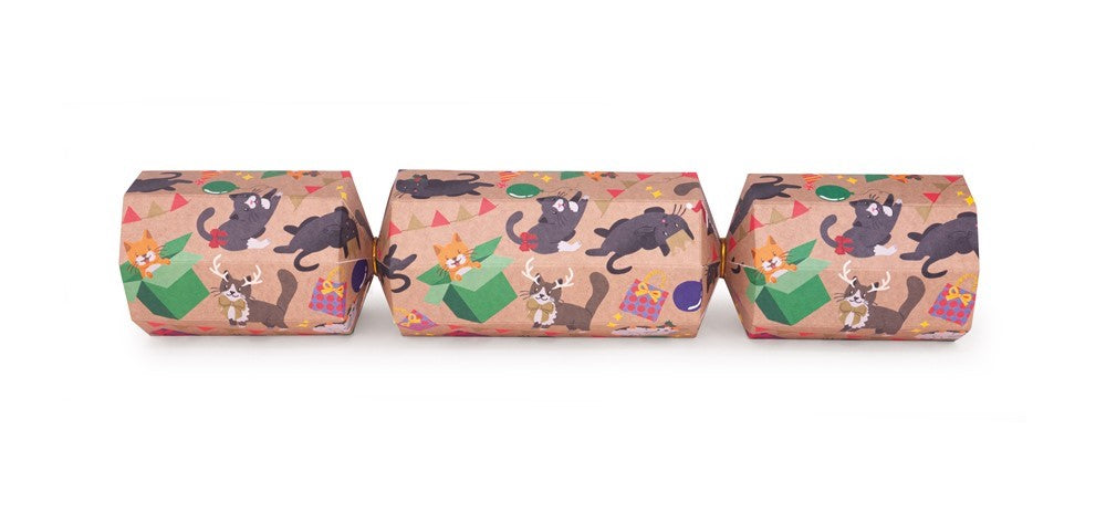 Celebration Crackers Celebration Pet Cracker - Cat, Single Cracker