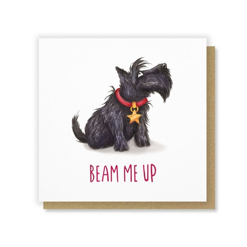 Citrus Bunn Citrus Bun Greeting Card - Pun Fun, Beam Me Up Scotty