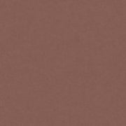 Colorplan Extracted A3 (297 x 420mm) / Fox / 135gsm Colorplan Extracted