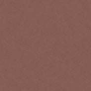 Colorplan Extracted A3 (297 x 420mm) / Fox / 270gsm Colorplan Extracted