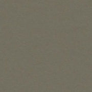 Colorplan Extracted A3 (297 x 420mm) / Jungle / 270gsm Colorplan Extracted