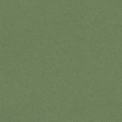 Colorplan Extracted A3 (297 x 420mm) / Matcha / 135gsm Colorplan Extracted