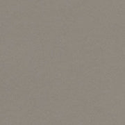Colorplan Extracted A3 (297 x 420mm) / Taupe / 135gsm Colorplan Extracted