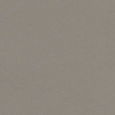 Colorplan Extracted A3 (297 x 420mm) / Taupe / 270gsm Colorplan Extracted