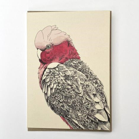 Marini Ferlazzo Greeting Card - Birds of Australia Collection, Galah