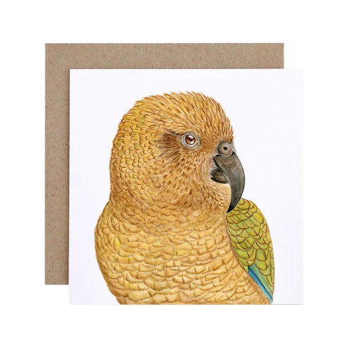 For Me By Dee For Me By Dee Greeting Card - Kai the Kea