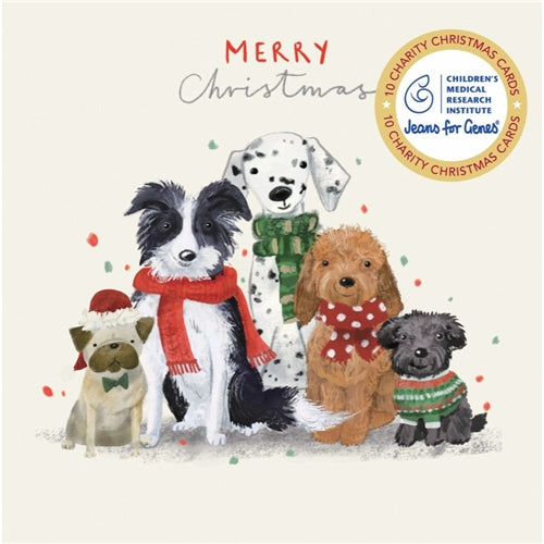 Hello Sunday Charity Christmas Boxed Christmas Cards - Furry Friends