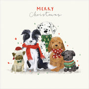 Hello Sunday Charity Christmas Boxed Christmas Cards - Furry Friends