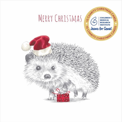 Hello Sunday Charity Christmas Boxed Christmas Cards - Hedgehog Present