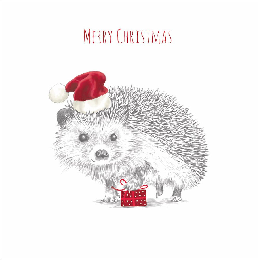 Hello Sunday Charity Christmas Boxed Christmas Cards - Hedgehog Present