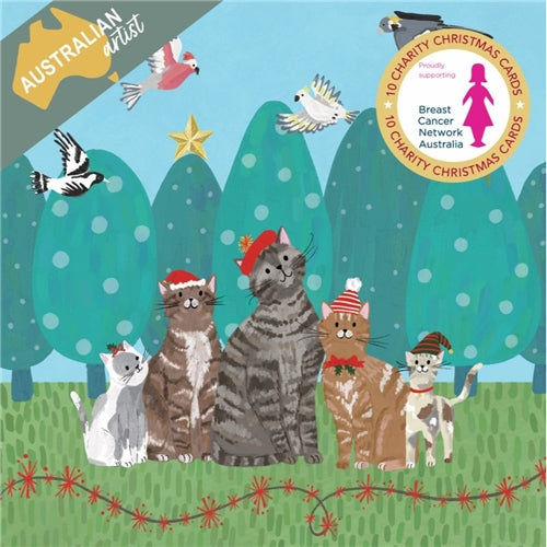 Hello Sunday Charity Christmas Boxed Christmas Cards - Santa Cats