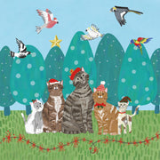 Hello Sunday Charity Christmas Boxed Christmas Cards - Santa Cats