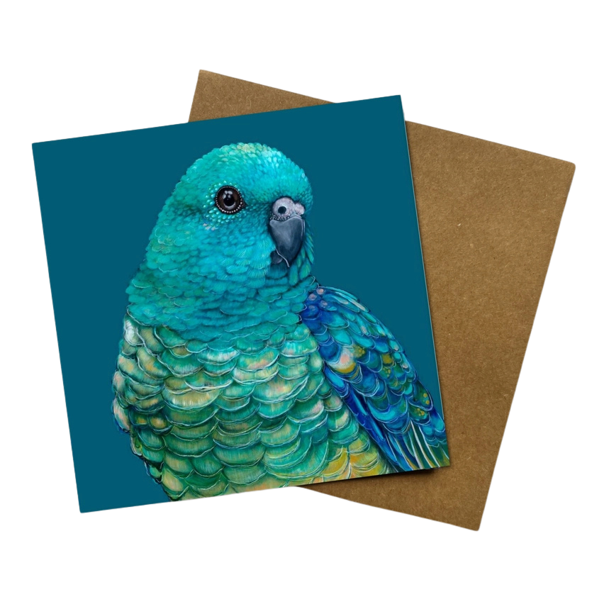 Jess Hutchison Art Jess Hutchison Art Greeting Card - Banjo the Red-rumped Parrot