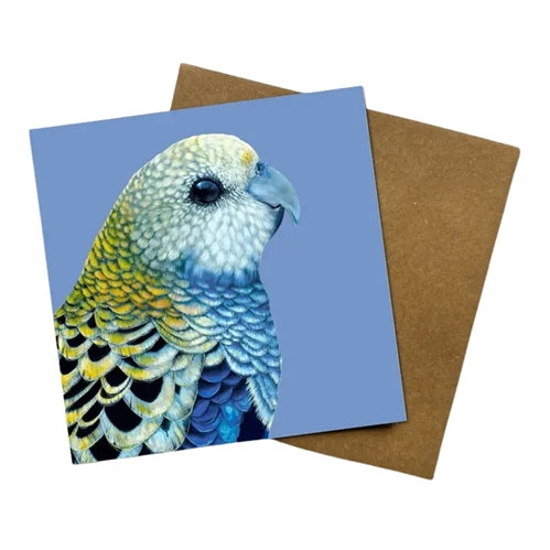 Jess Hutchison Art Jess Hutchison Art Greeting Card - Finley the Pale Headed Rosella