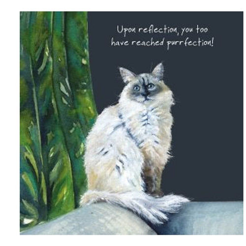 Little Dog Laughed Little Dog Laughed Greeting Card - Ragdoll Purr