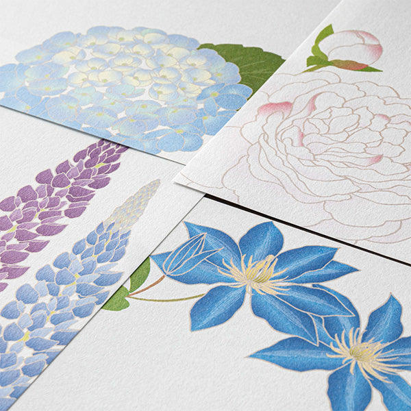 Midori Midori Kami Letter Set - Early Summer Series, Summer Flowers