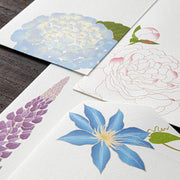 Midori Midori Kami Letter Set - Early Summer Series, Summer Flowers