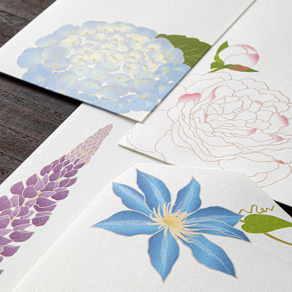Midori Midori Kami Letter Set - Early Summer Series, Summer Flowers