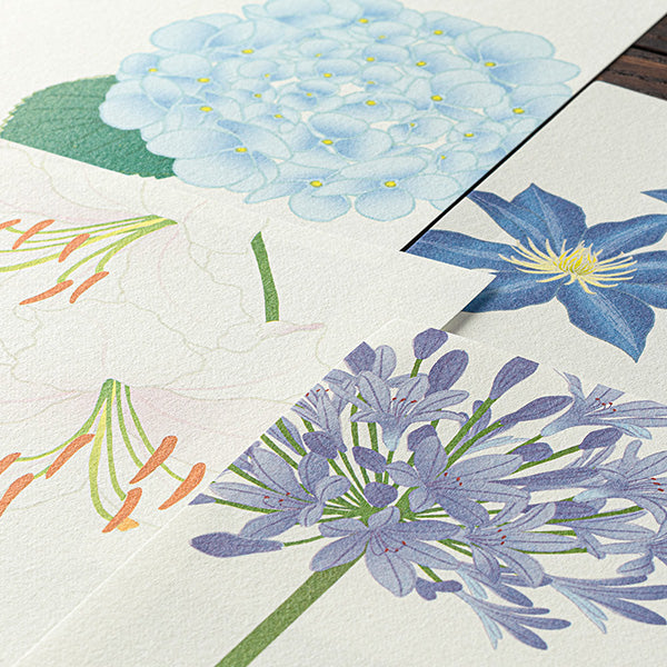 Midori Midori Kami Letter Set - Paper Series - Summer, Summer Floral