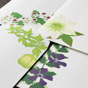 Midori Midori Kami Letter Set - Paper Series - Summer, Summer Floral