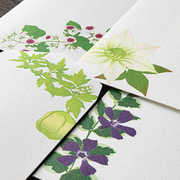 Midori Midori Kami Letter Set - Paper Series - Summer, Summer Floral