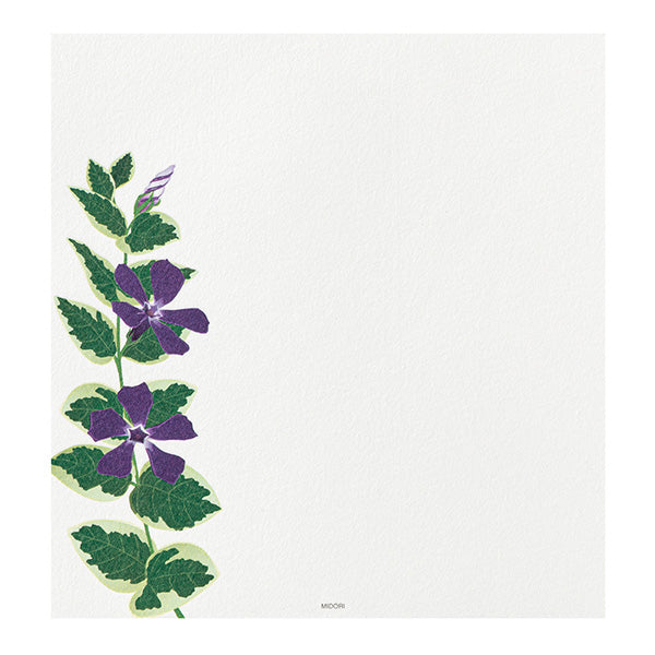 Midori Midori Kami Letter Set - Paper Series - Summer, Summer Floral