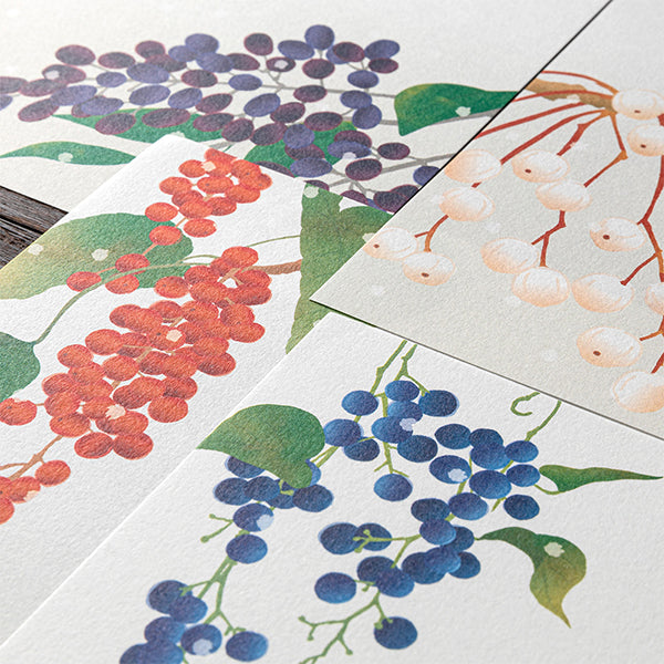 Midori Midori Kami Letter Set - Winter Series, Berries