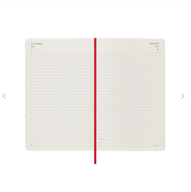 Moleskine Moleskine 2025 Softcover Diary - Daily, Large, Red