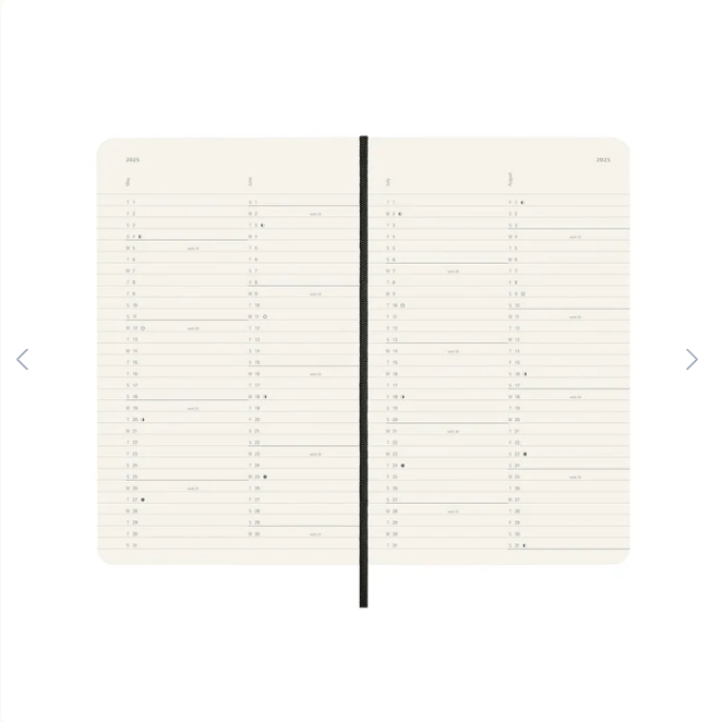 Moleskine Moleskine 2025 Softcover Diary - Monthly, Large, Black