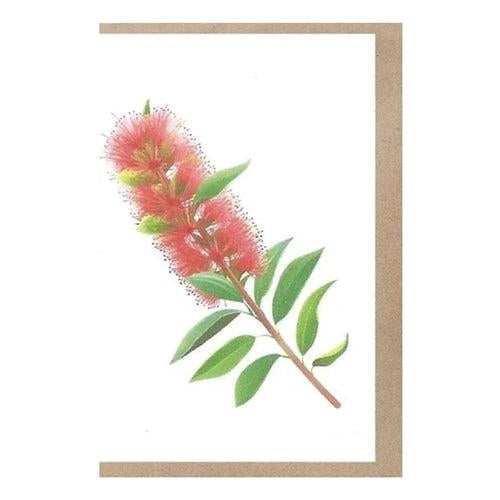 Paper-Go-Round Paper-Go-Round Plantable Greeting Card - Bottlebrush