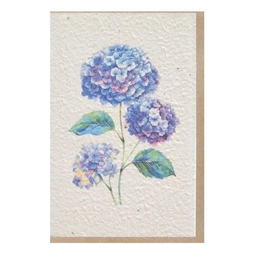 Paper-Go-Round Paper-Go-Round Plantable Greeting Card - Hydrangea